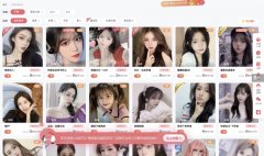 订单收入天然相当丰