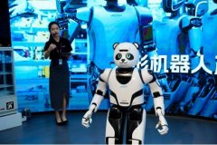 银行深圳市分行进行了深切的行业研究